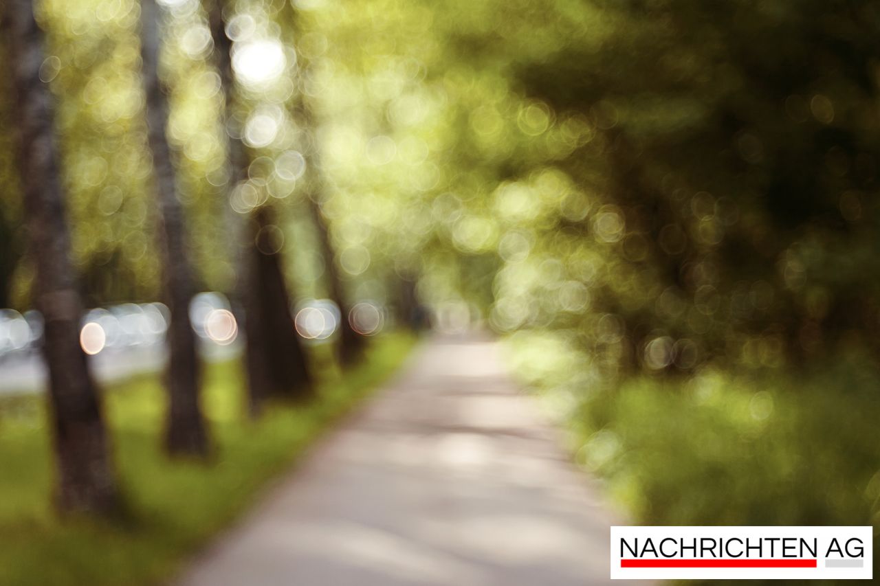 Katzencafé im Herzen Hamburgs schließt: Ein Abschied mit Pfoten und Erinnerungen