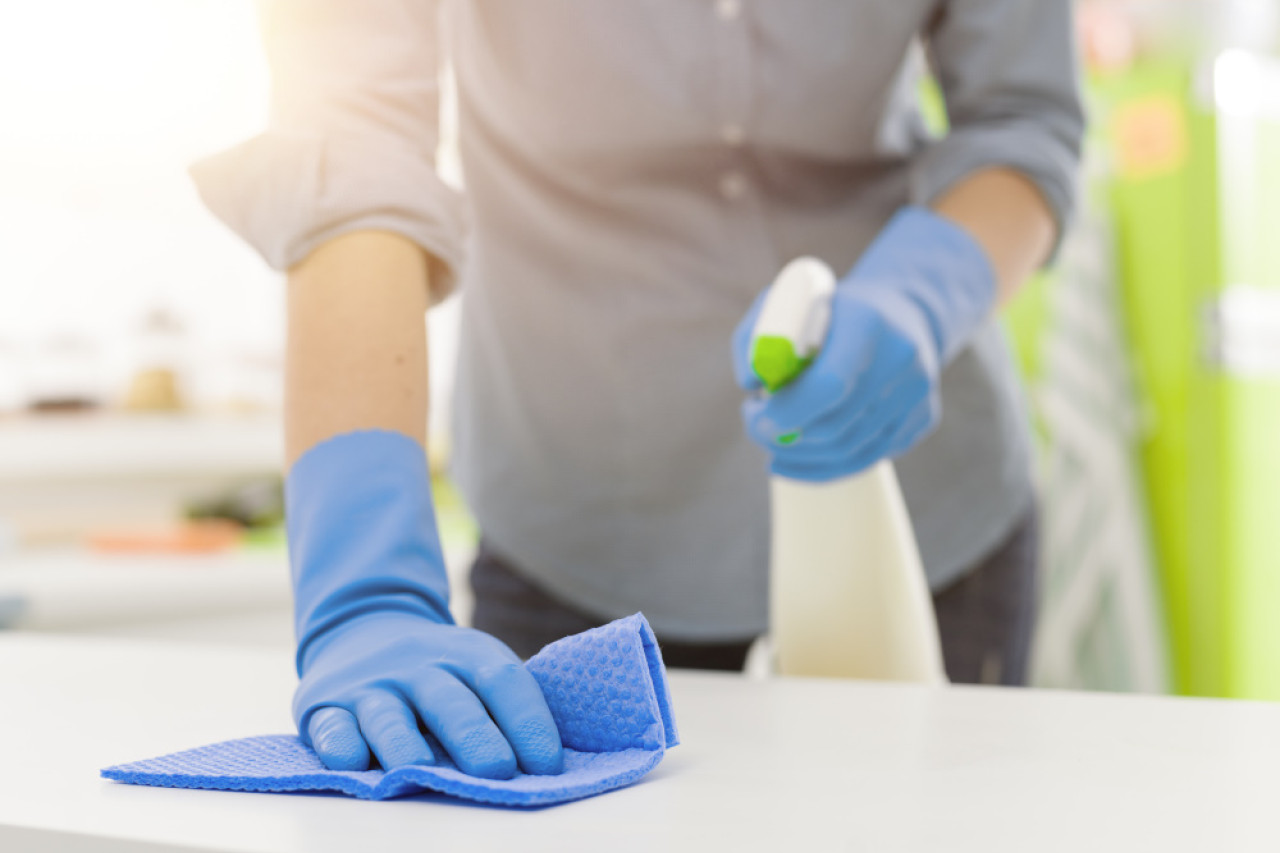 Pack4Food24: Ihr Partner für professionelle Hygienelösungen